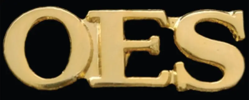 Gold-Plated Order Of The Eastern Star Lapel Pin – Clearance 1