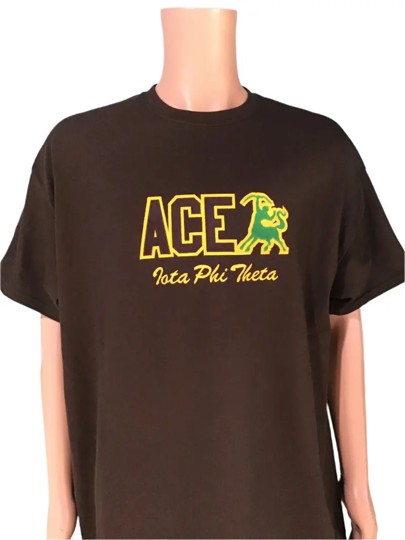 Iota Phi Theta Brown Graphic Word T-Shirt 1