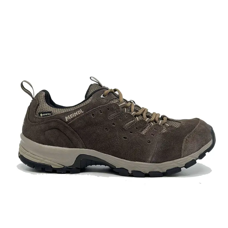 Men'S Rapide Gtx Brown Walking Shoes 1