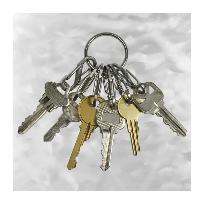 S-Biner Steel Dual-Clip Keyring – Heavy-Duty Stainless Steel 1
