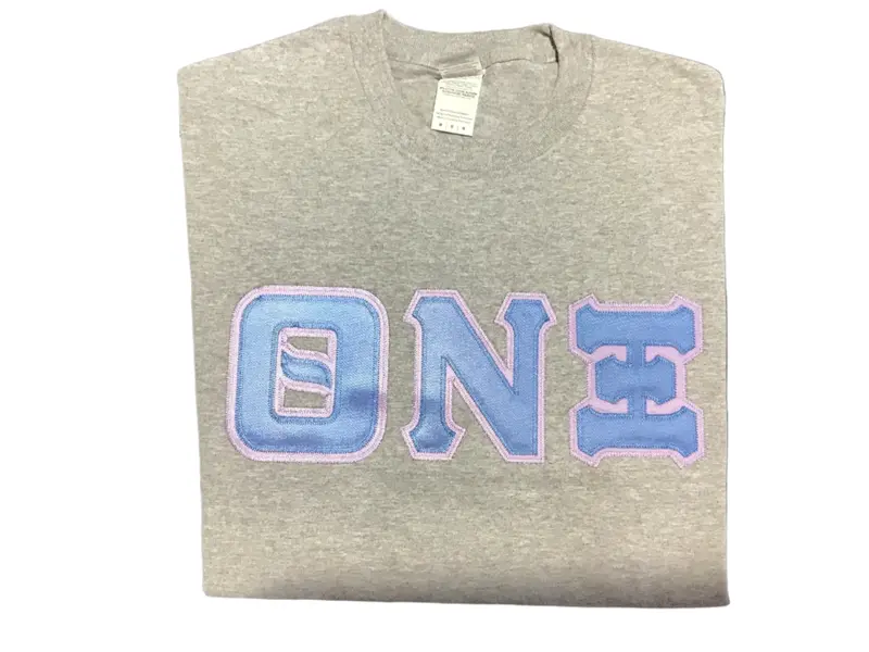 Theta Nu Xi Sport Gray Greek Letter Tee 1