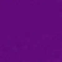 Women'S Solid Purple Elastic-Waist Swim Shorts – High-Rise, Short Length 1